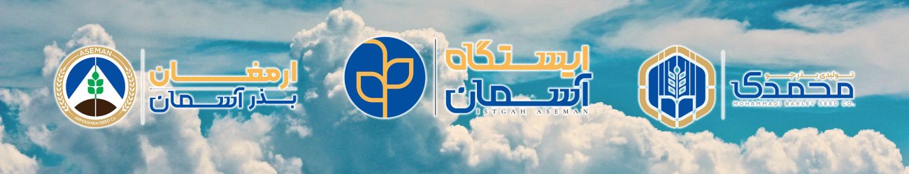برند ها